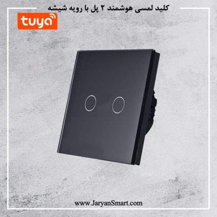 کلید 2 پل لمسی روشنایی WIFI پلتفرم تویا