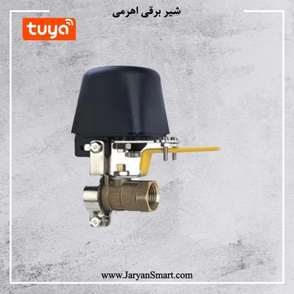 شیر برقی هوشمند Wifi پلتفرم تویا